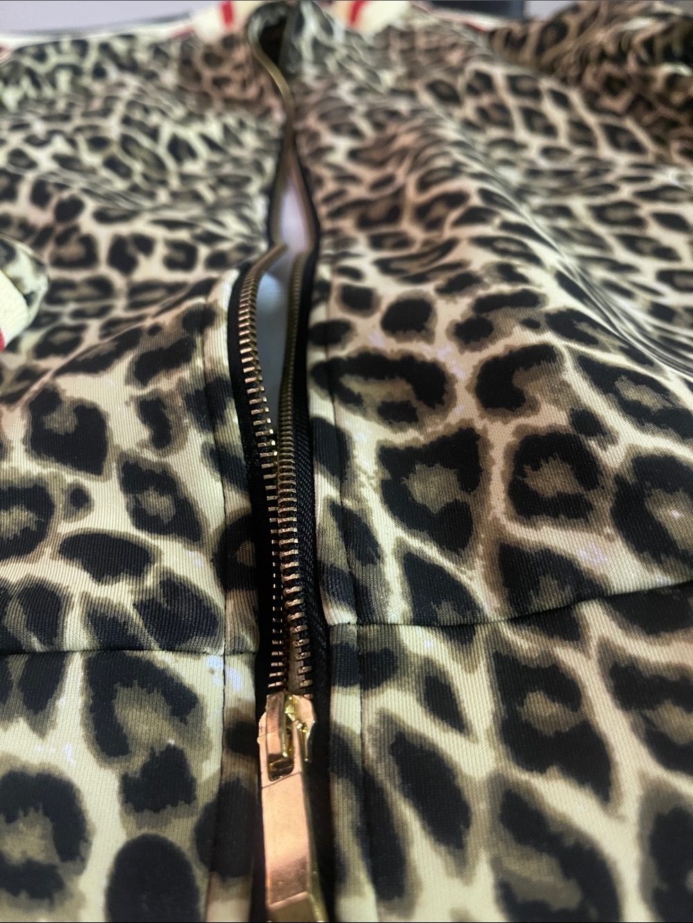 Leopard Print Bomber Jacket with Red-Trimmed Ribbing - Picture 4 of 4